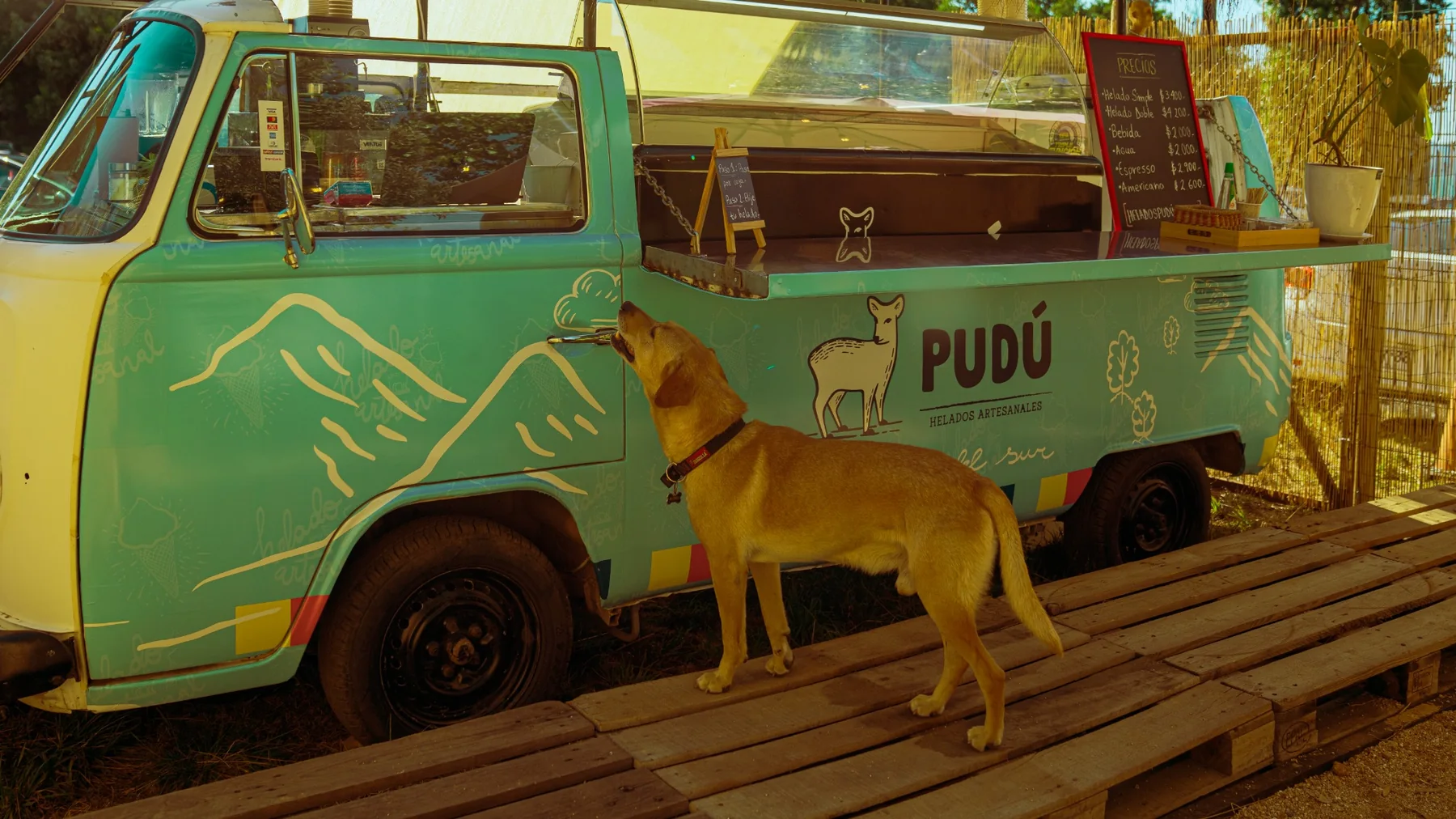 Detalle de la KOMBI en su etapa de helados